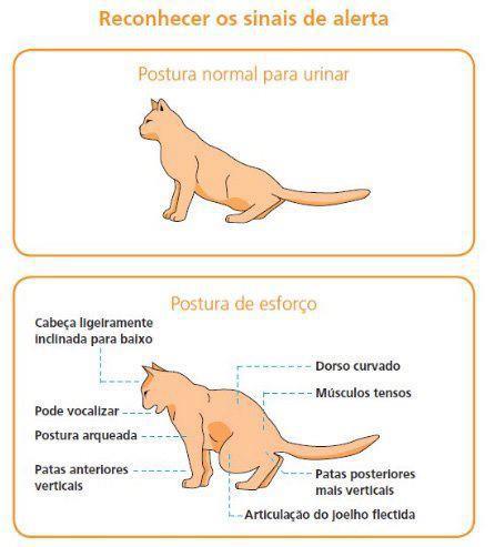 Sinais de obstrução uretral